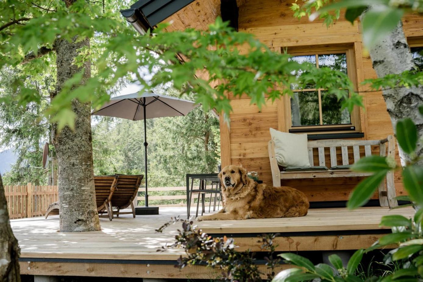 Huette Neuhaus Villa Annaberg im Lammertal Ngoại thất bức ảnh